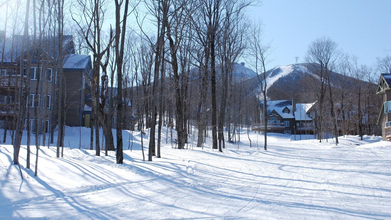 Photo of Others in North Troy