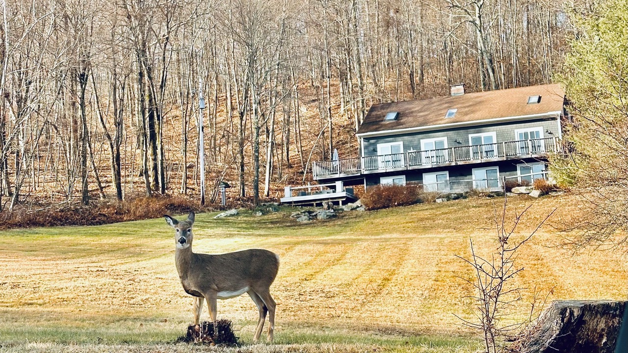 Photo of Outdoor in Hillsdale