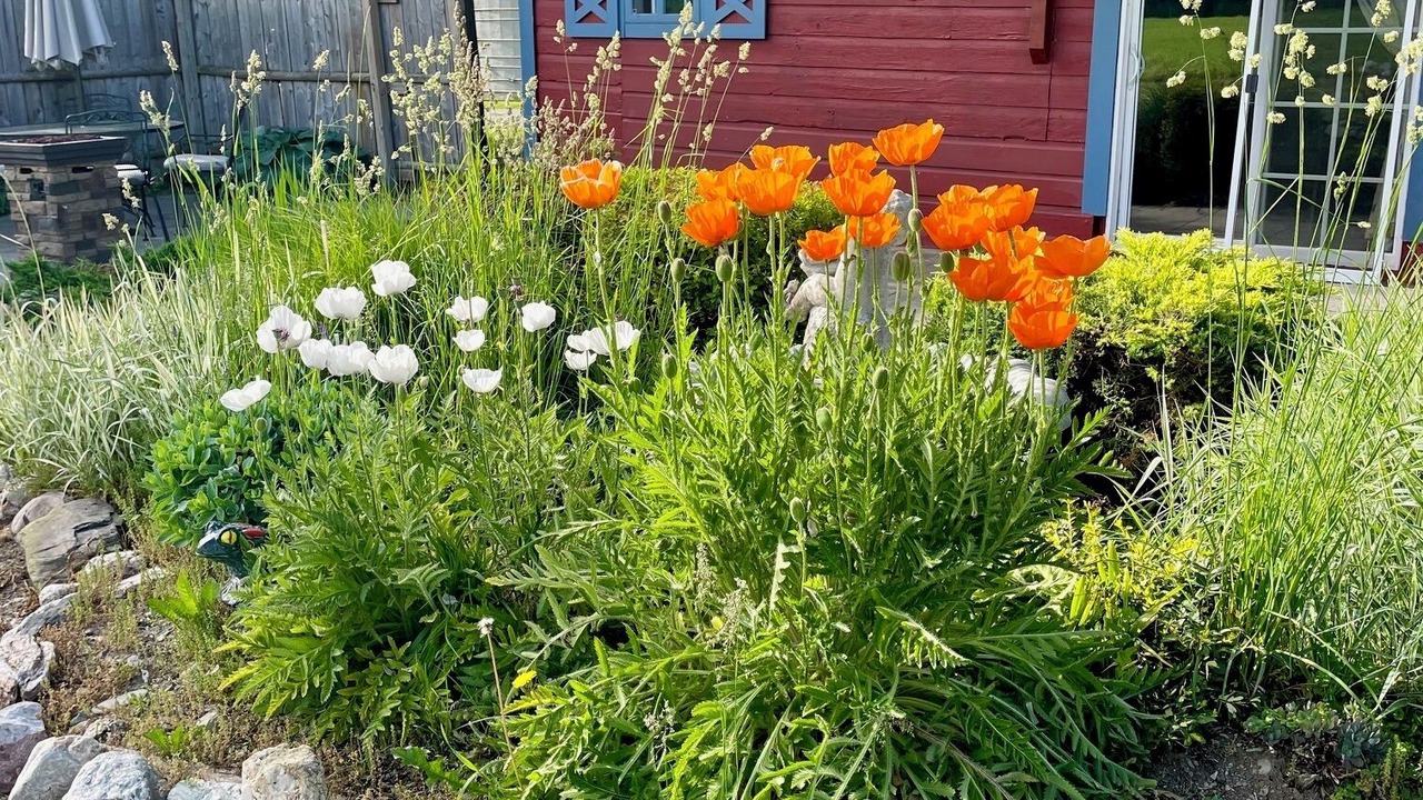 Photo of Outdoor in Town of White Creek