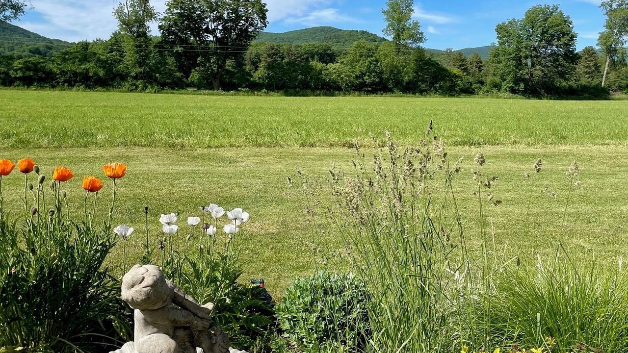 Photo of Outdoor in Town of White Creek