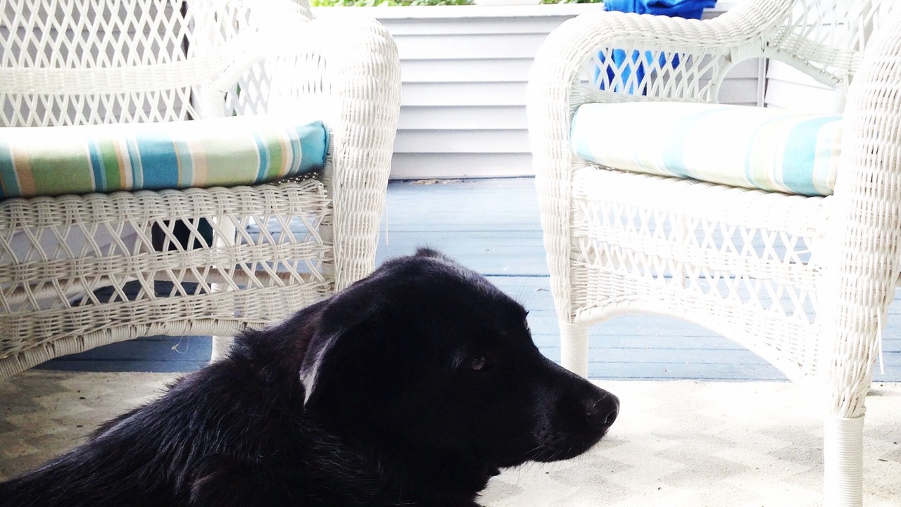 Photo of Outdoor in Bar Harbor