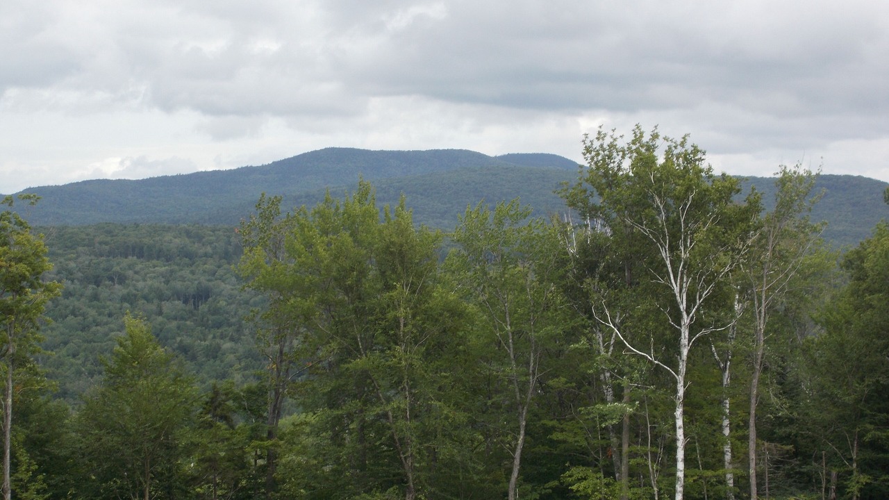 Photo of Others in Woodsville