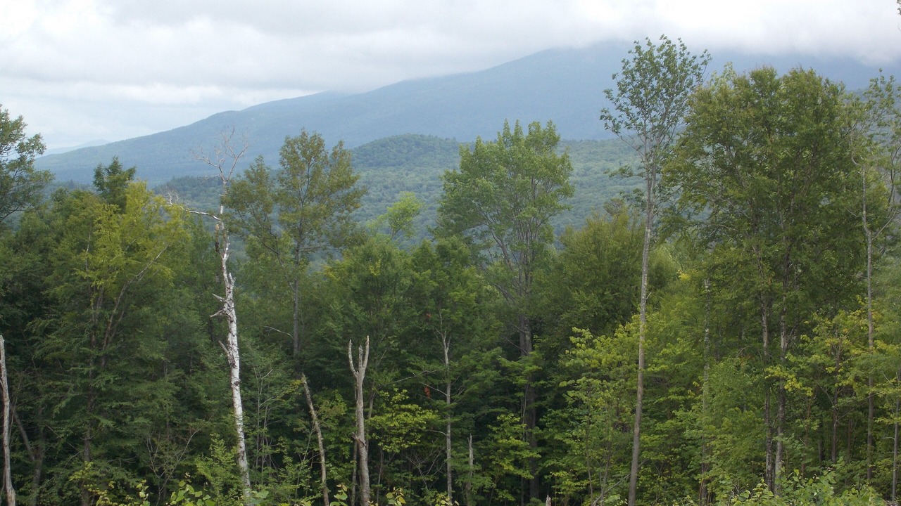 Photo of Outdoor in Woodsville
