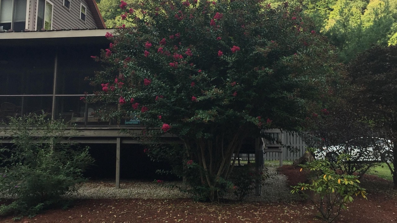 Photo of Outdoor in Meadow Bridge