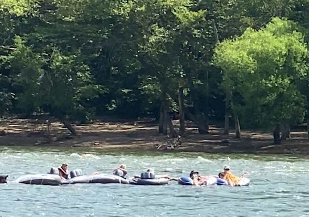 Photo of Others in Meadow Bridge