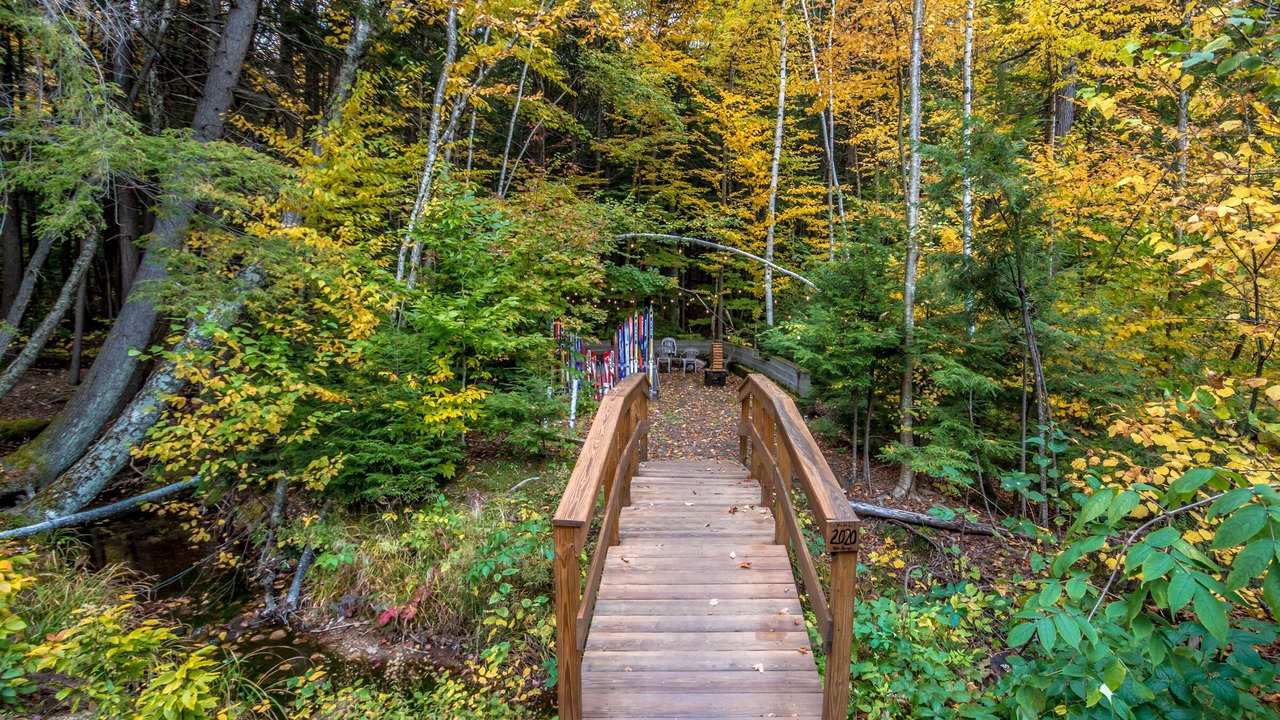 Photo of Outdoor in Intervale