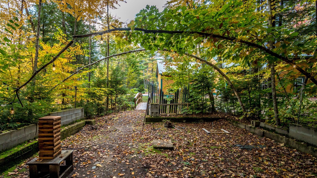 Photo of Outdoor in Intervale