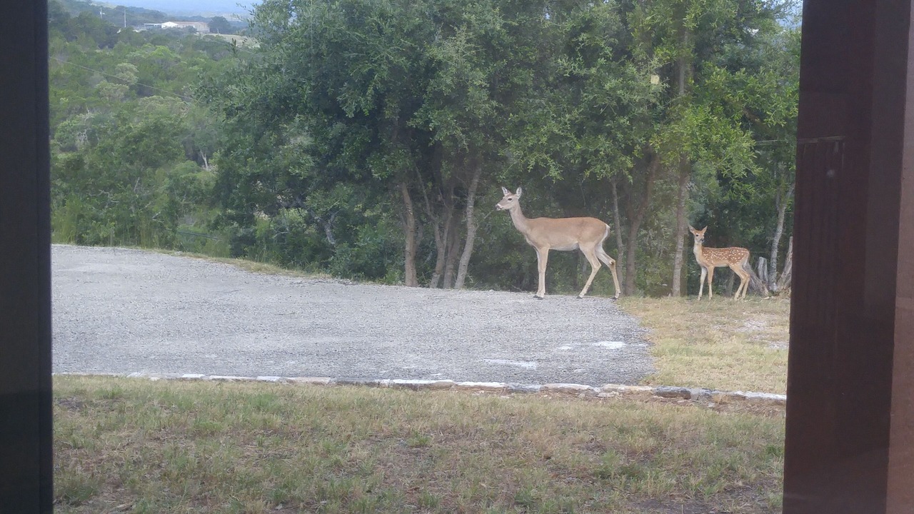 Photo of Others in Dripping Springs