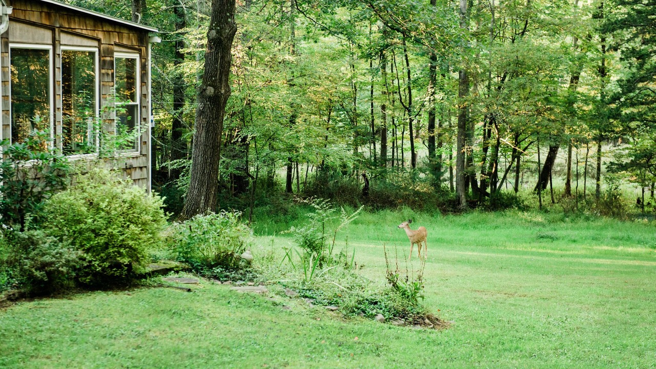 Photo of Others in Bearsville