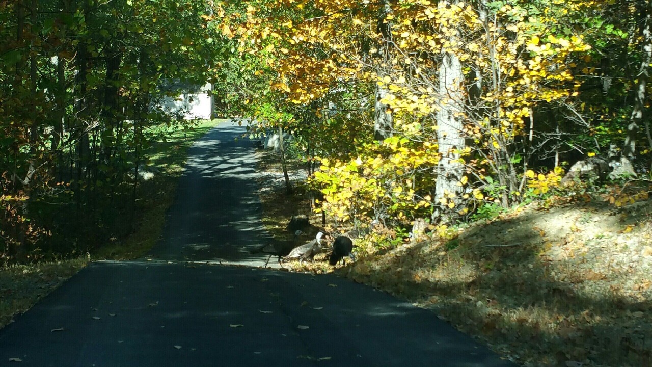 Photo of Outdoor in Berkeley Springs