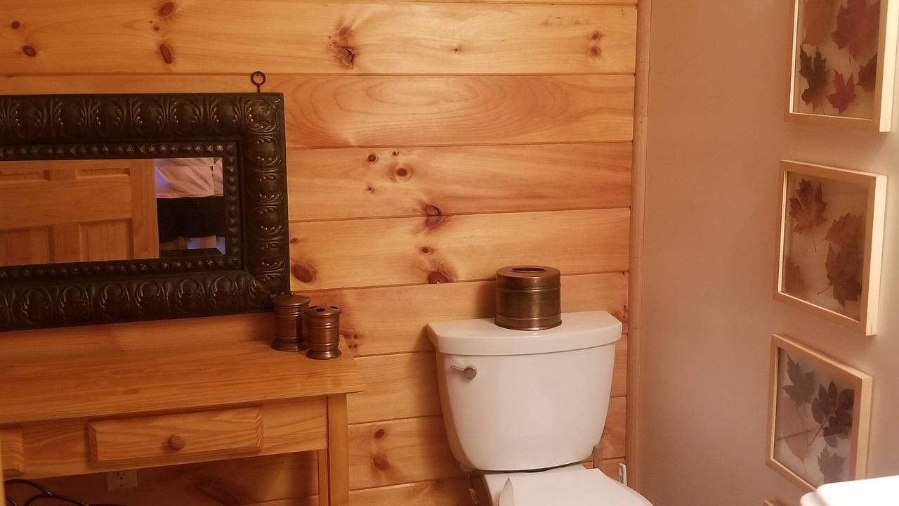 Photo of Bathroom in Prattsville