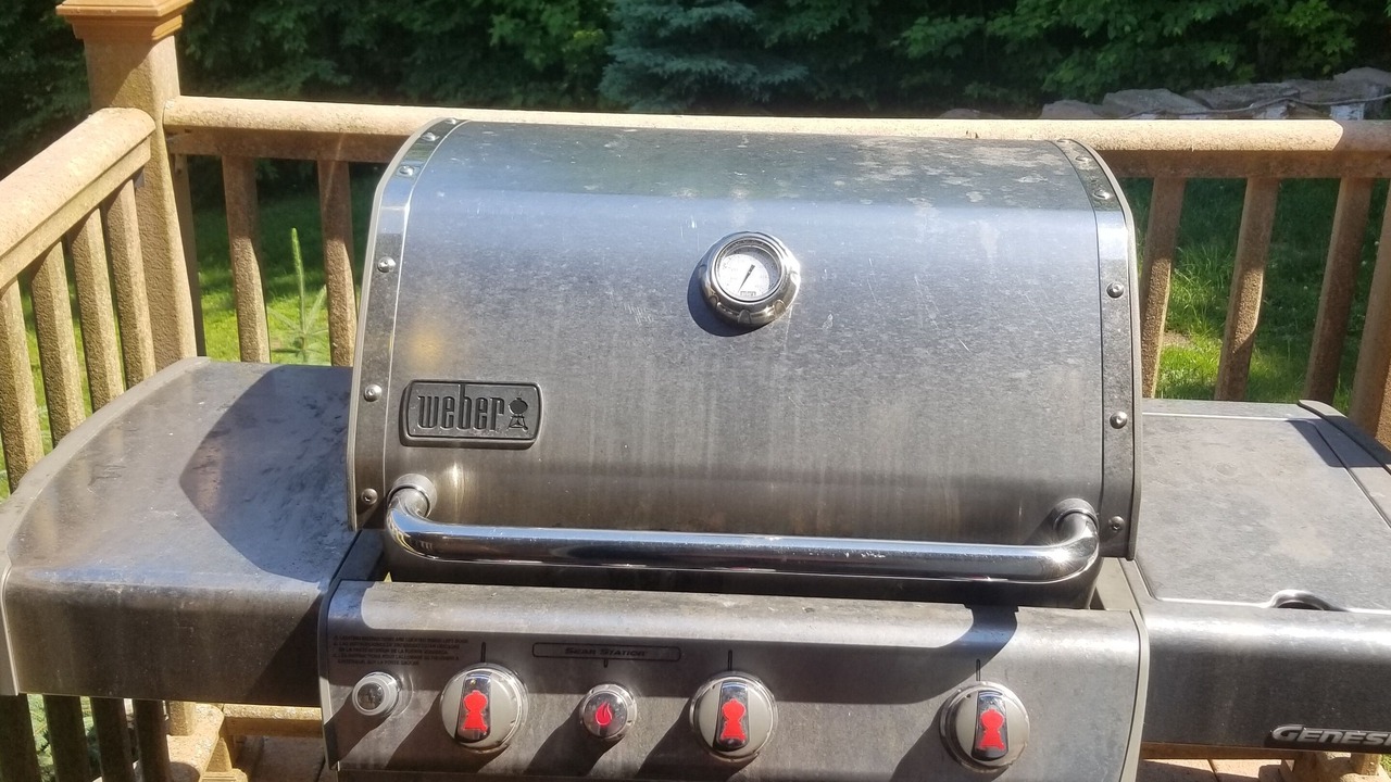 Photo of Outdoor in Prattsville