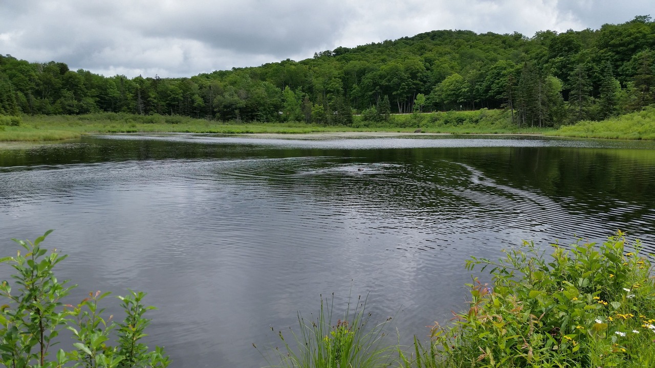 Photo of Outdoor in Stratton and Bromley Ski Areas