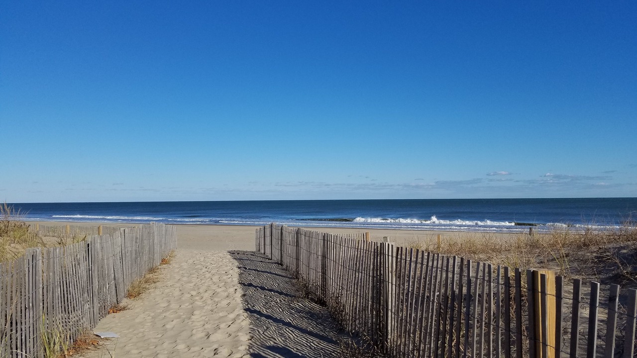 Photo of Others in Midtown Ocean City