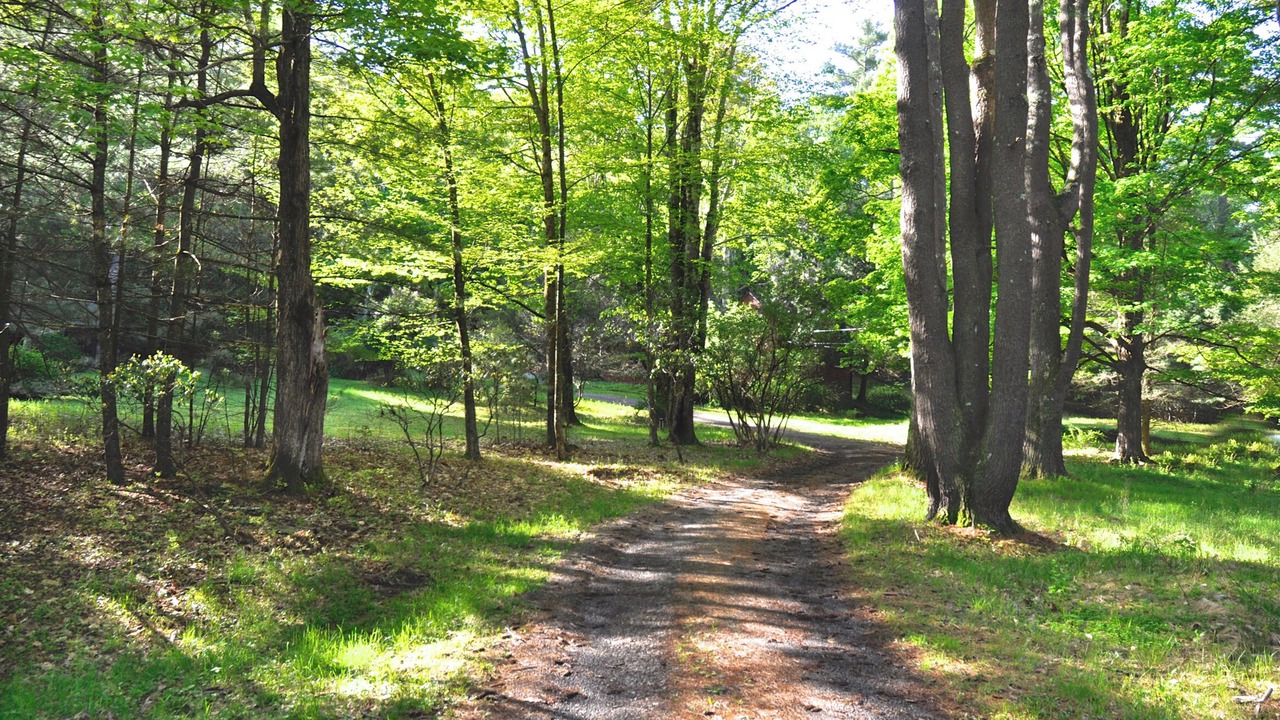 Photo of Outdoor in Woodstock