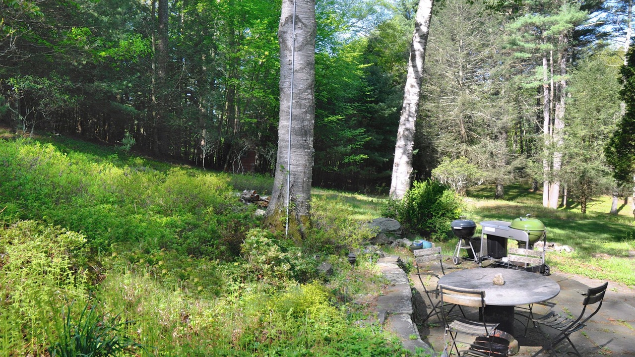 Photo of Outdoor in Woodstock
