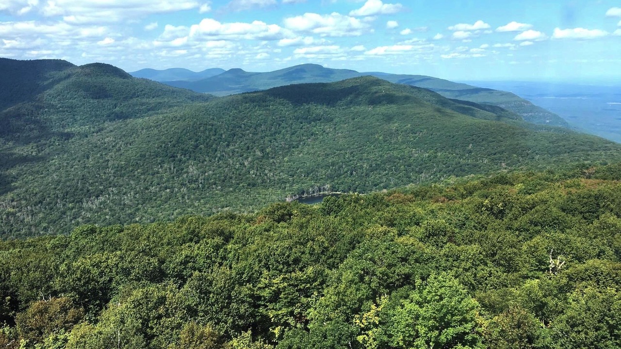 Photo of Others in Woodstock