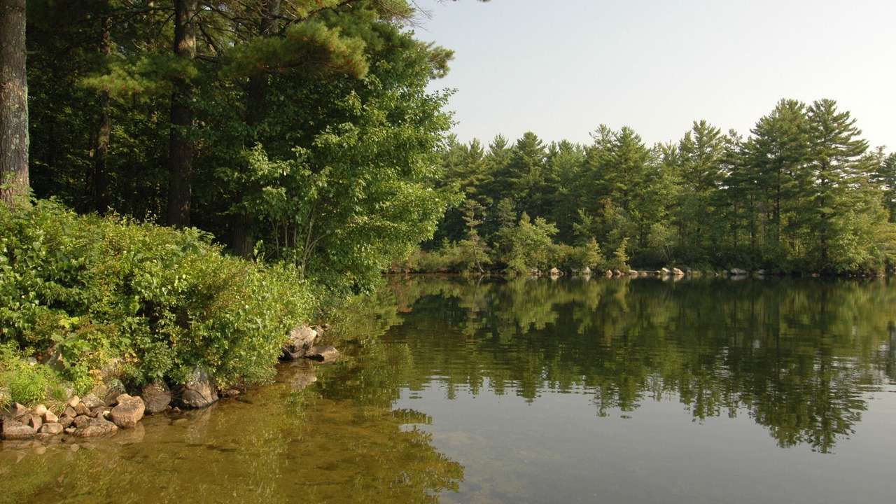 Photo of Outdoor in South Casco