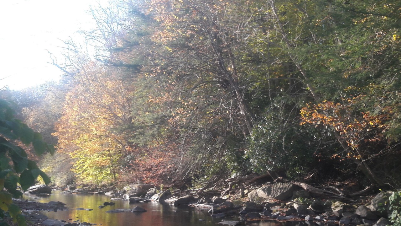 Photo of Others in Livingston Manor