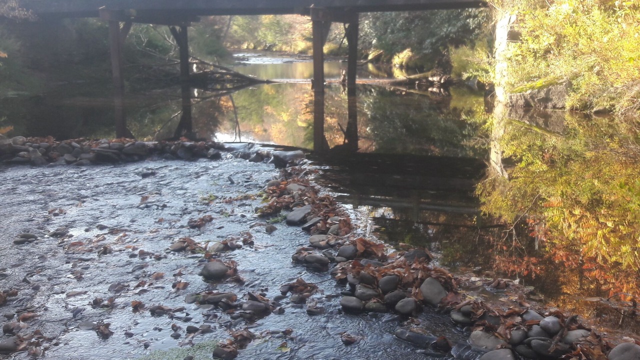 Photo of Outdoor in Livingston Manor