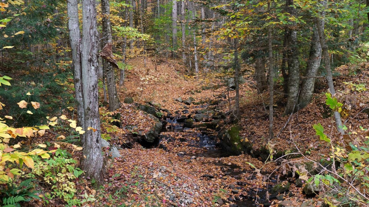 Photo of Others in Central Vermont- Killington