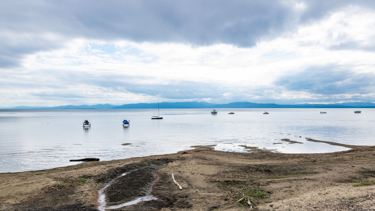Photo of Others in Malletts Bay
