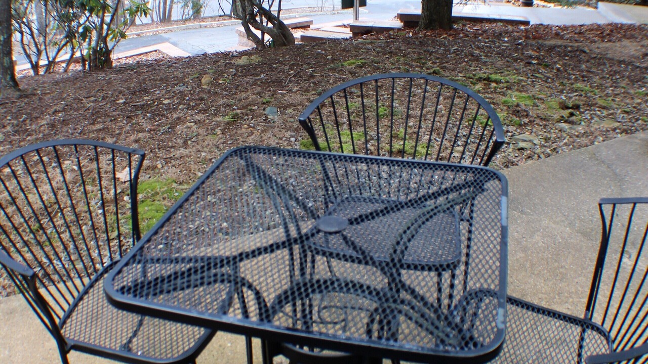 Photo of Others in Nellysford