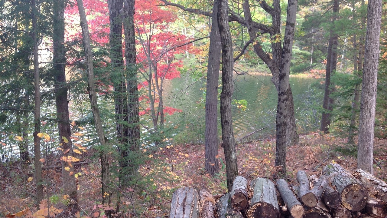 Photo of Outdoor in Fair Haven