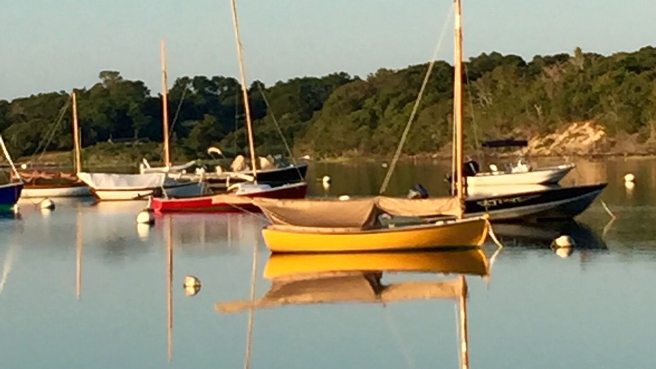 Photo of Others in Aquinnah