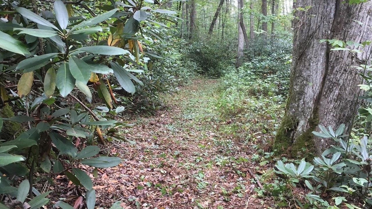 Photo of Outdoor in Fayetteville