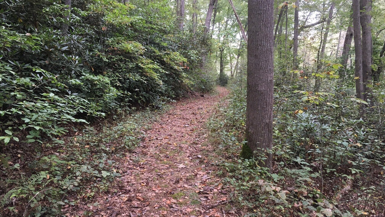 Photo of Outdoor in Fayetteville