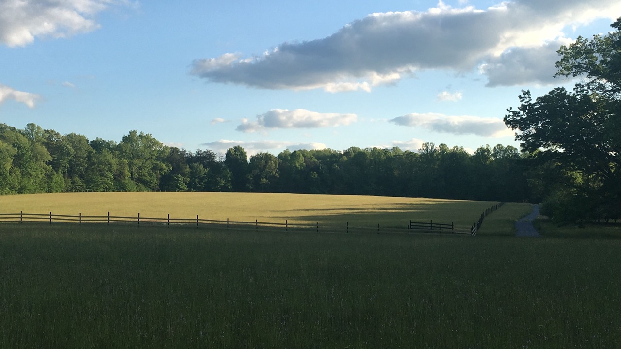 Photo of Outdoor in Fayetteville