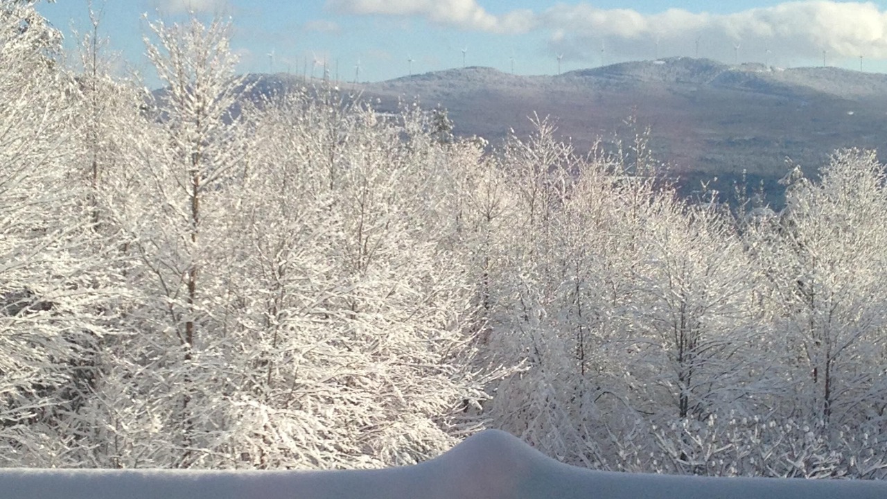 Photo of Outdoor in Lowell