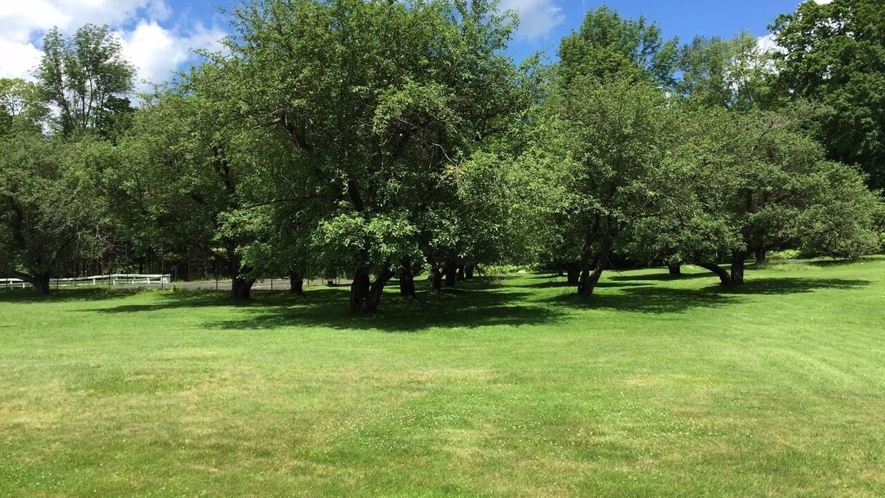 Photo of Others in Pittsford