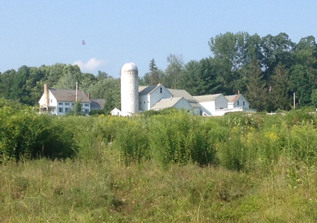 Photo of Others in Pittsford