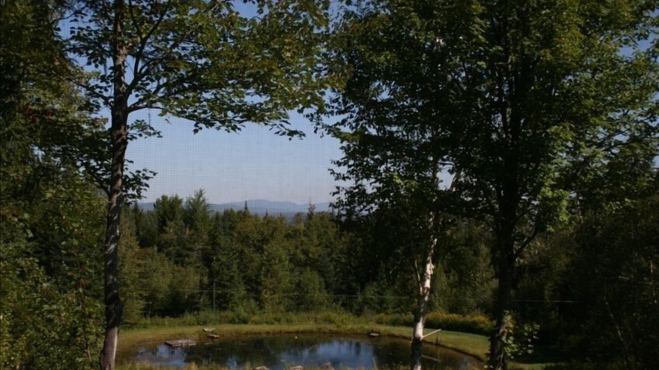 Photo of Outdoor in Wolcott