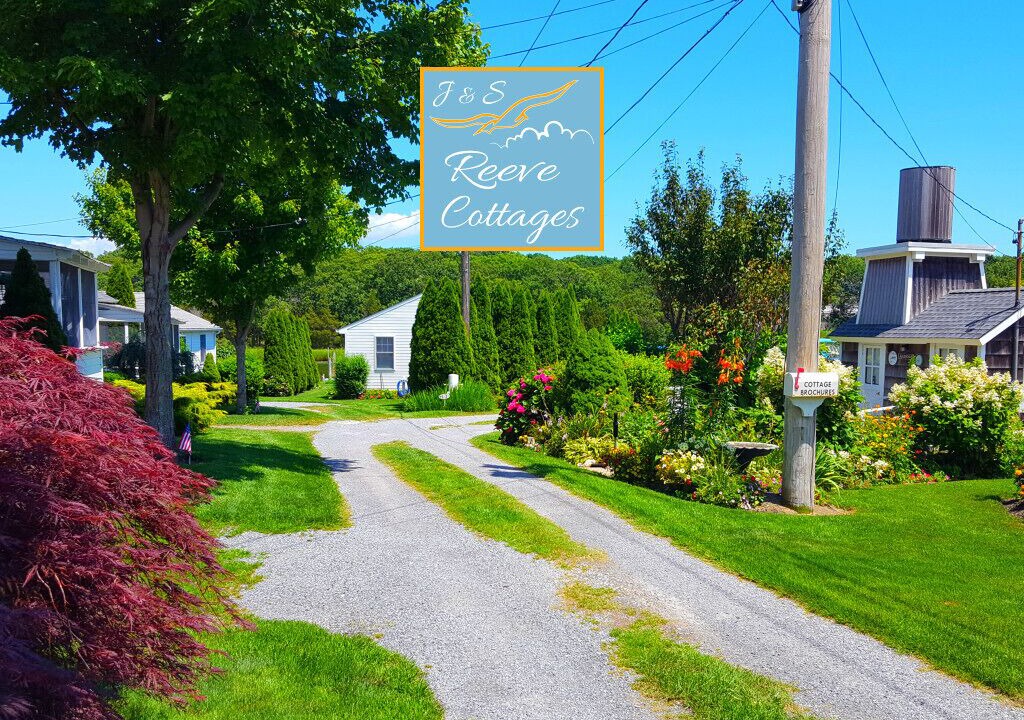Photo of Outdoor in Aquebogue