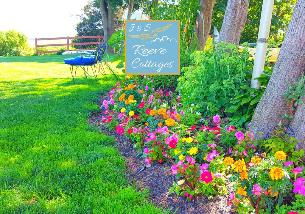 Photo of Outdoor in Aquebogue