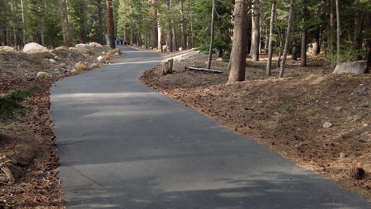 Photo of Others in Mammoth Lakes