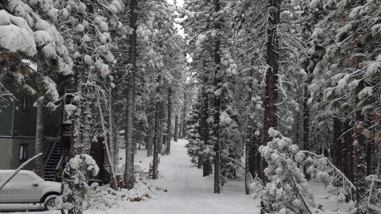 Photo of Others in Mammoth Lakes