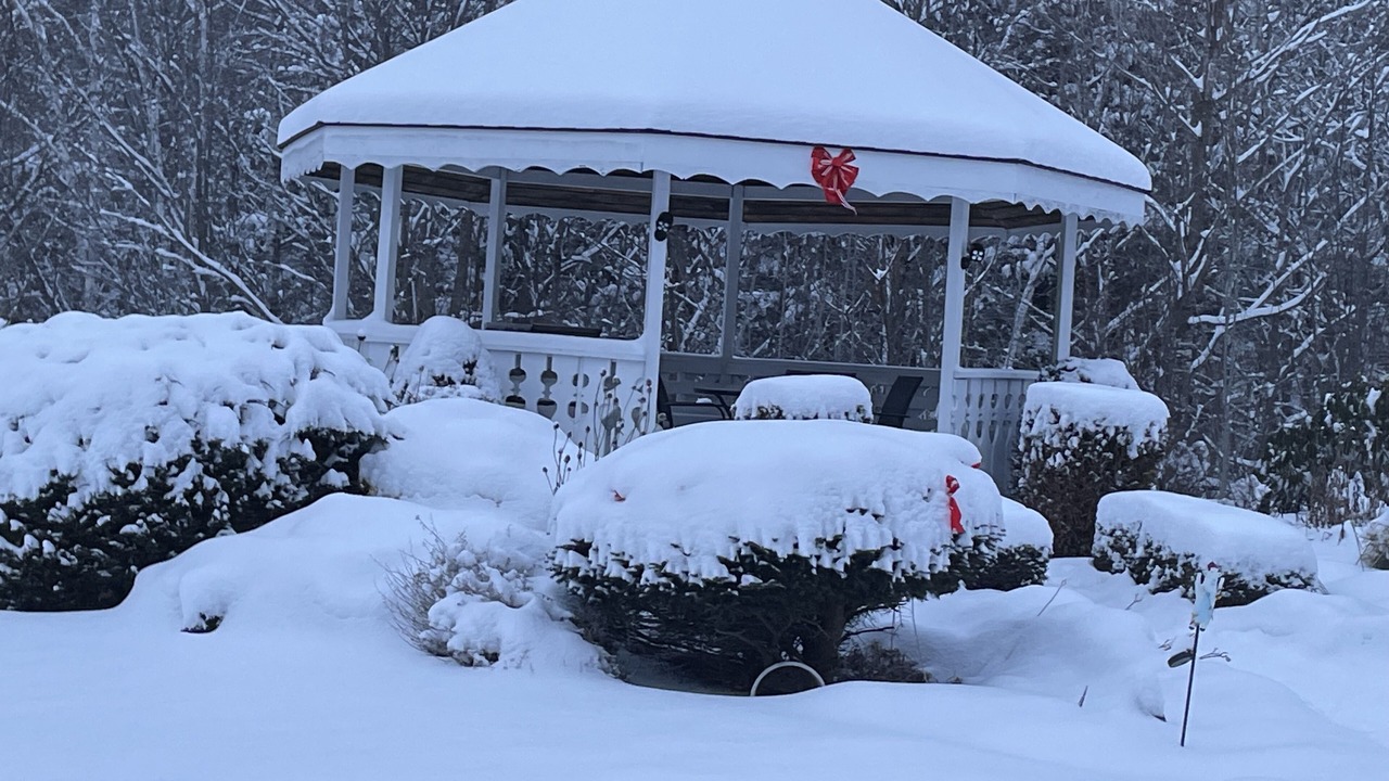 Photo of Outdoor in Jackson