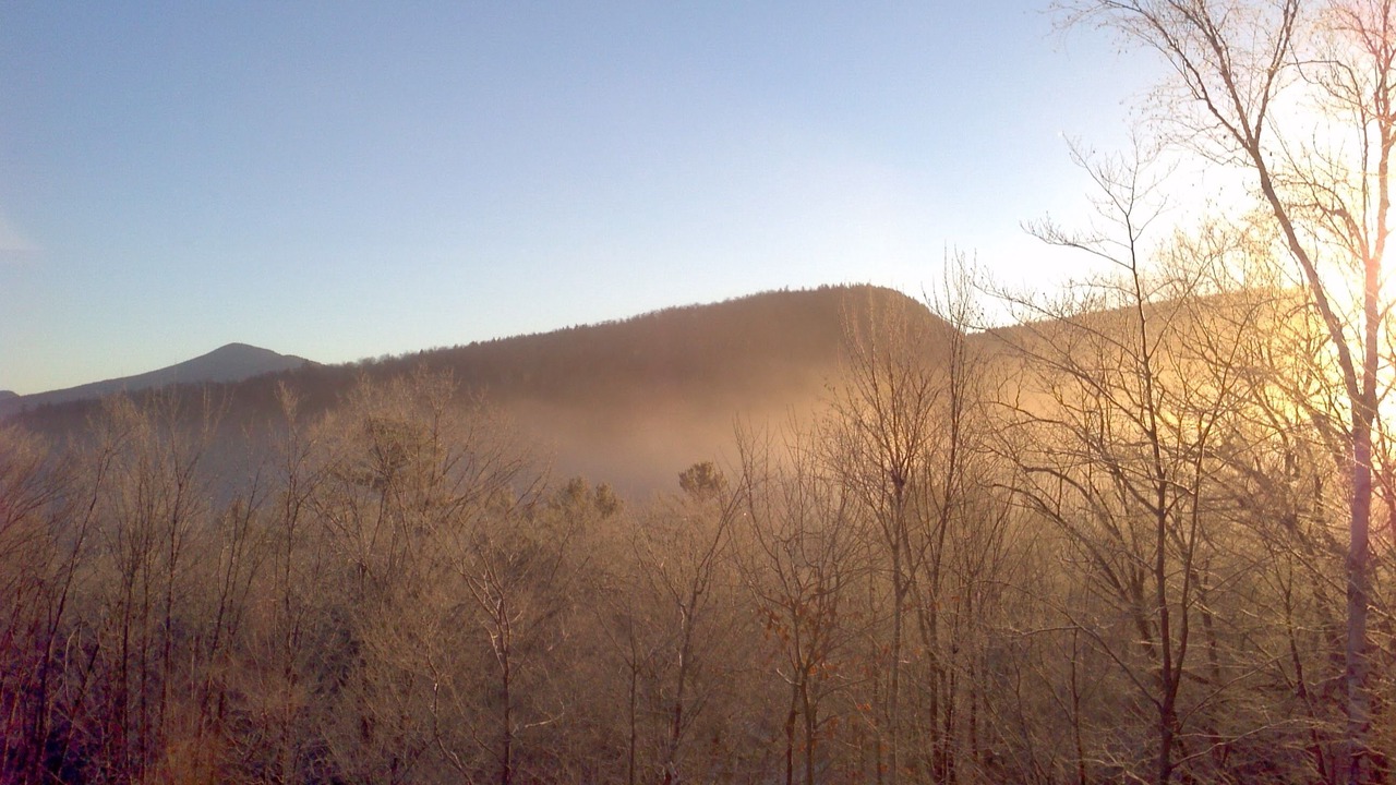 Photo of Others in Birchview by the Saco