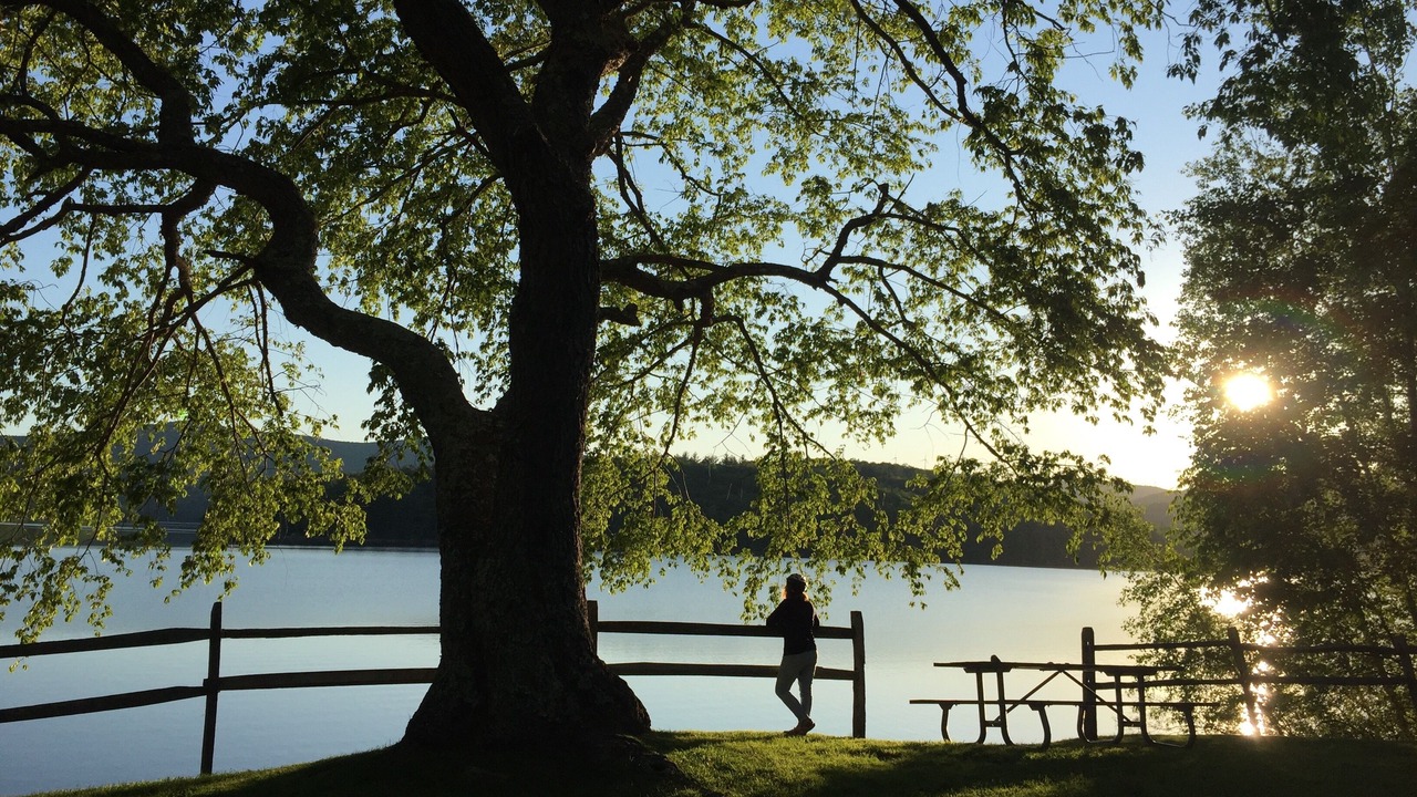 Photo of Outdoor in Wilmington