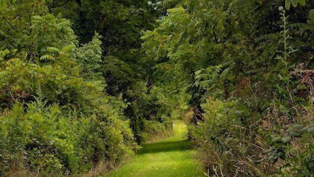 Photo of Outdoor in Lodi
