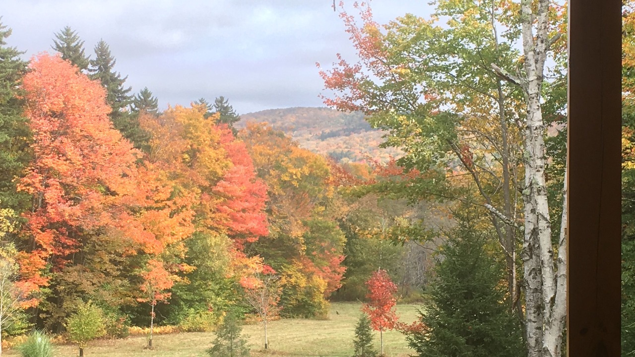 Photo of Outdoor in West Dover