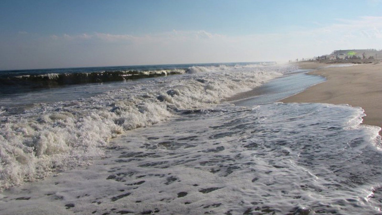 Photo of Others in East Quogue