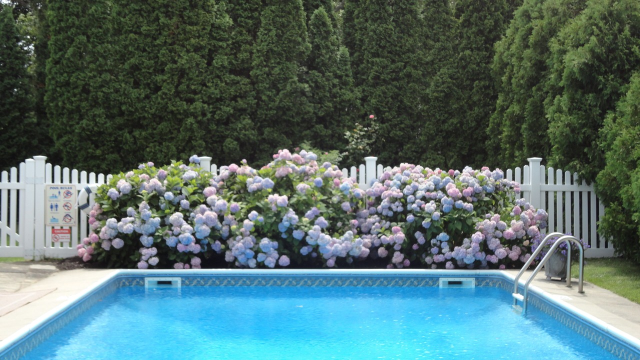 Photo of Outdoor in East Quogue