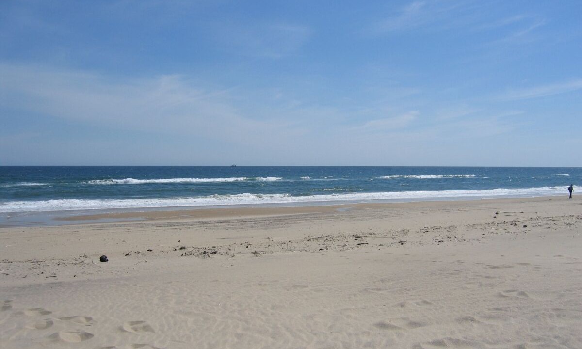 Photo of Others in Montauk