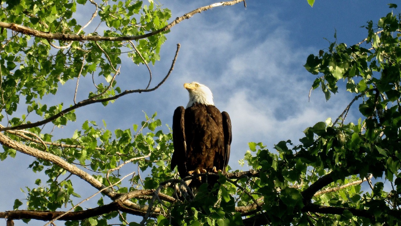 Photo of Others in Bridport