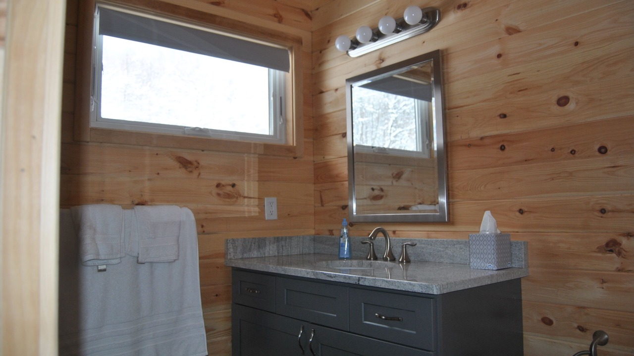 Photo of Bathroom in Honeoye